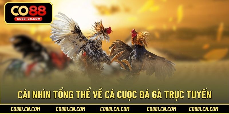 Cái nhìn tổng thể về cá cược đá gà trực tuyến