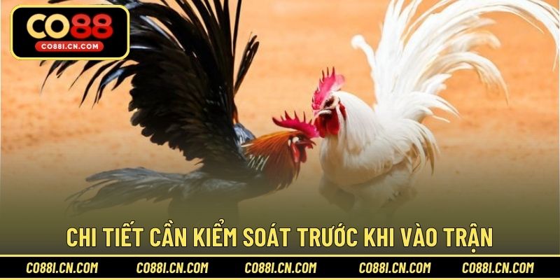 Chi tiết cần kiểm soát trước khi vào trận