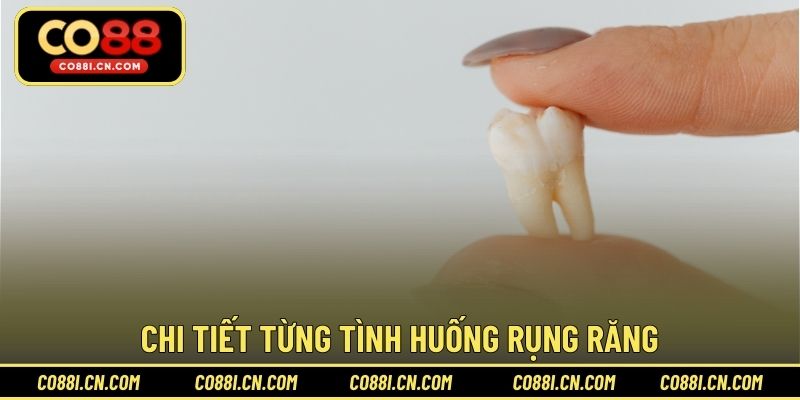Chi tiết từng tình huống rụng răng