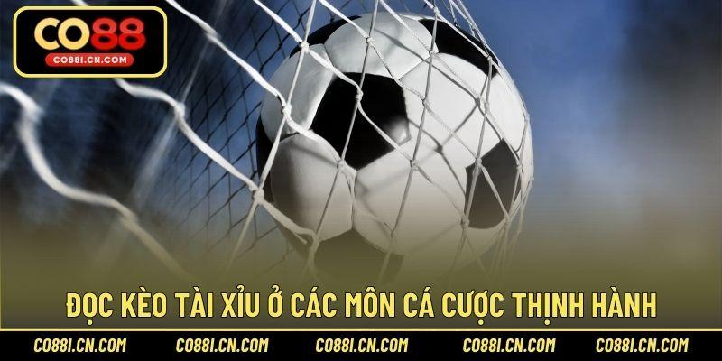 Đọc kèo tài xỉu ở các môn cá cược thịnh hành