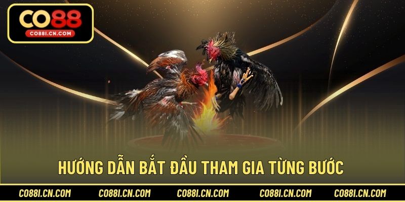 Hướng dẫn bắt đầu tham gia từng bước 