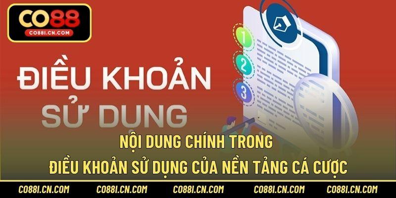 Nội dung chính trong điều khoản sử dụng của nền tảng cá cược