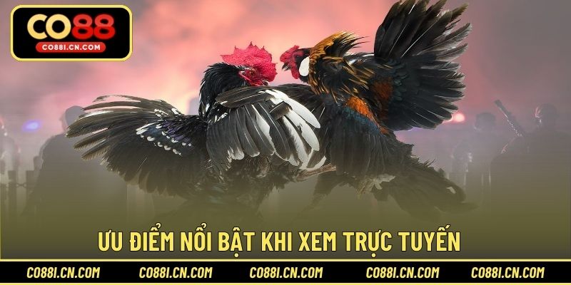 Ưu điểm nổi bật khi xem trực tuyến