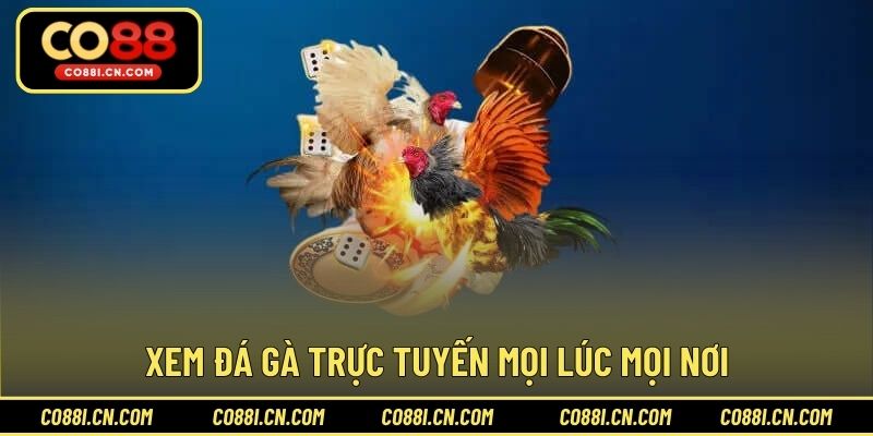 Xem đá gà trực tuyến mọi lúc mọi nơi